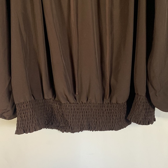 Lane Bryant Brown Sheer Boho Long Sleeve Blouse - Picture 6 of 8